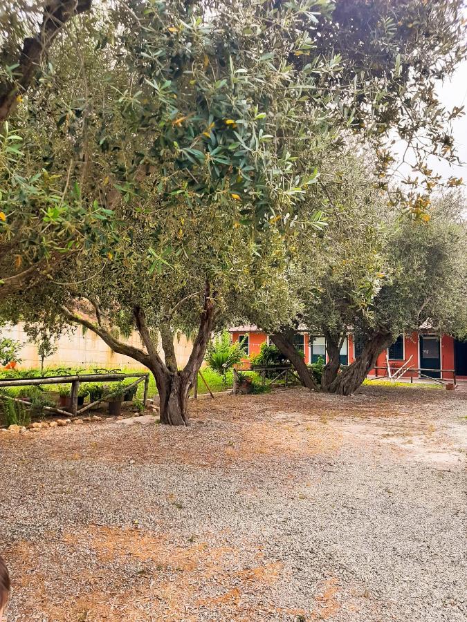 Locanda Adele Parghelia Dış mekan fotoğraf